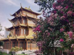 -龙潭水乡