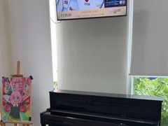 -小荧星艺校(浦东中环分校)