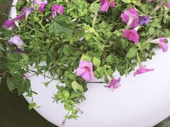 -黄桷坪涂鸦艺术街