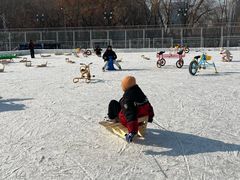 -沈阳奥体冰雪嘉年华