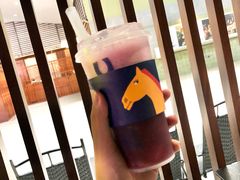 -春丽小马(济南恒隆广场店)