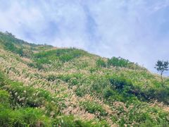 -天景山漂流
