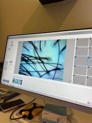 -史云逊养发护发