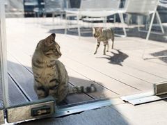 -UNI UNI(环亚凯瑟琳店)