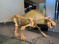 -墨尔本博物馆(Melbourne Museum)