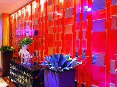 -纯K(打浦桥店)