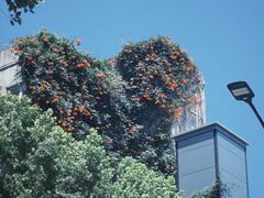 -杭州师范大学附属医院(杭州总院)