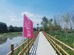 -白渔泡湿地公园