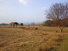 -鹤之乡·齐齐哈尔烤肉·非遗(秋涛路店)