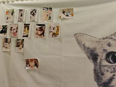 -艾吉宠物医院·疑难杂症转诊中心·猫友好(碧江路院)