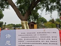 -嬉乐湾休闲旅游区