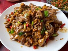 现杀果园鸡—黄焖鸡-生态苑农庄(十里画廊遇龙河店)