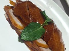 传统烤鸭-鸭王烤鸭店(三里河店)