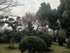 -堤角公园
