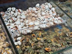 -加餐海鲜自助(宝龙一城店)