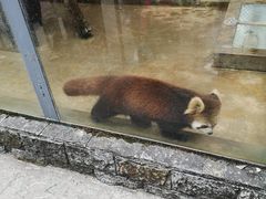 -柳州市动物园