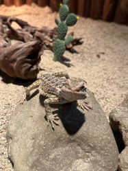 -酷嗒动物文化乐园(cutezoo西溪乐天城店)