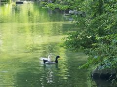 -宁波五龙潭景区