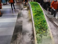 -湊湊火锅·茶憩(石家庄万象城店)