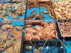 -大连湾旭日·家宴·海肠捞饭(马栏广场店)
