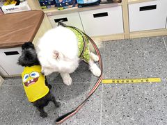 -宠物家(大兴旧宫店)