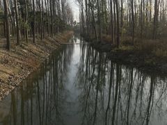 -合肥滨湖国家森林公园