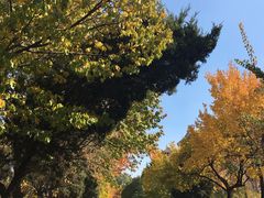 -吉林大学(南岭校区)