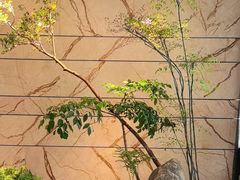 -沁园·珍藏湘味(芙蓉广场店)