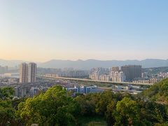 -金鸡山公园