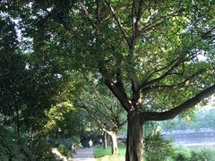 -成都市活水公园