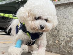 -美联众合动物医院·24h转诊中心