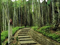 -黄埔油麻山森林公园
