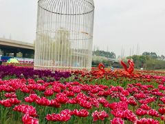 -秀丽东方