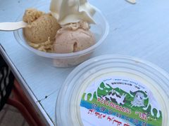 巴旦木口味冰淇淋-古老冰山特色冰淇淋店(艾提尕尔店)