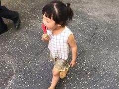 -尼莫海豚馆