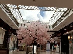 -添赐温泉馆(上南路店)