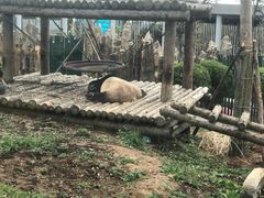 -大连森林动物园