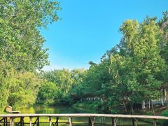 -合肥滨湖国家森林公园