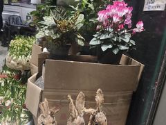 -FEI FEI FLOWER鲜花店·气球派对·宝宝宴布置(虹口德必运动Loft店)