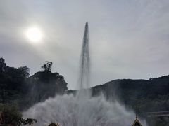 -西双版纳原始森林公园