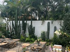 -自由生长植物工作室(深港花卉中心店)