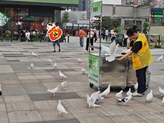 -江燕路万科里