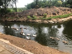-东郊湿地公园