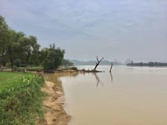 -鹤之洲湿地公园