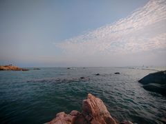 -小麦岛公园