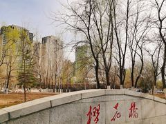 -长白岛森林公园