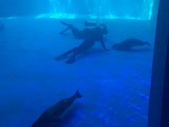 -皇家极地海洋世界-售票处