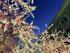 -榕记(番禺总店)