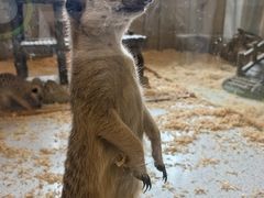 -珠海海泉湾神秘岛亲子乐园