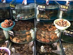 -烁佳海鲜大馅饺子